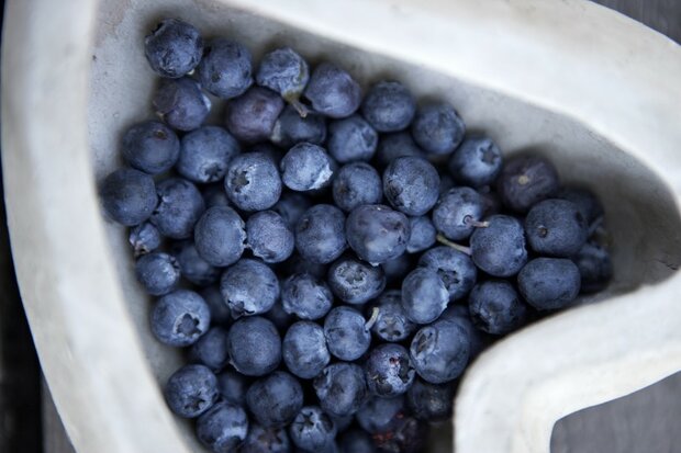 Blueberry Seed Mask